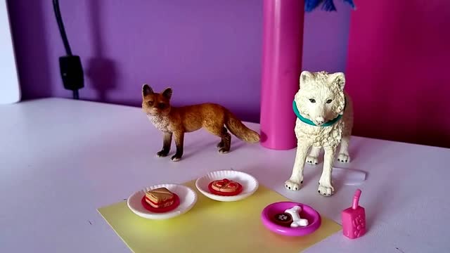 cute video of cats and dogs playing