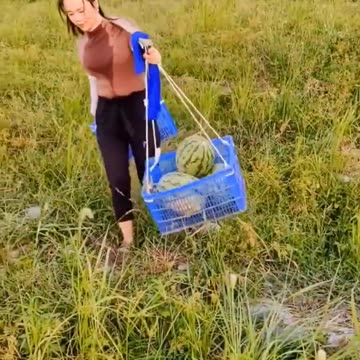 Cô gái vùng cao #145 _ Gánh nặng mưu sinh _ Clip cảm động _