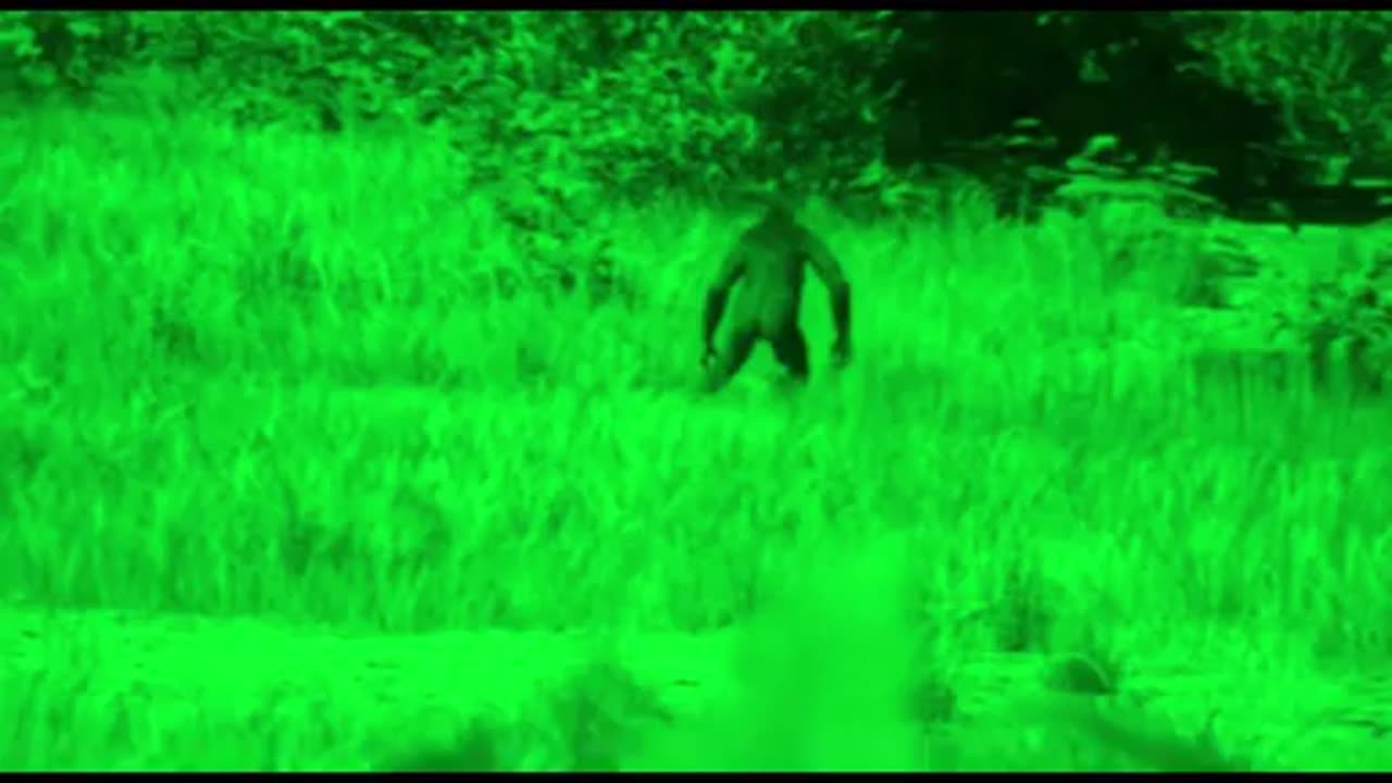 BIGFOOT FROM A UFO IN CALIFORNIA