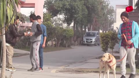 Real Dog Bark Prank @pranksOnTV