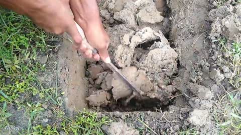 Amazing Hole Fish Trap- Smart Boy Build Fish Trap By Muddy soil ..