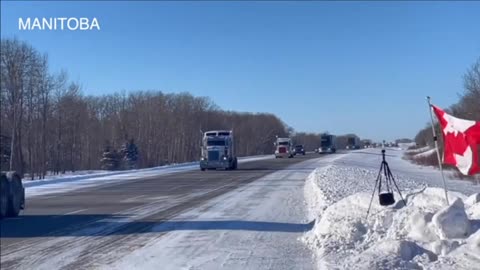 Canada Trucks - Freedom Convoy