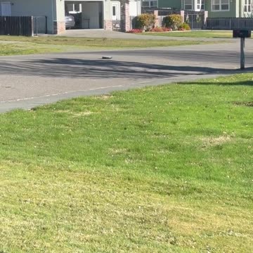 Robot cleaner goes rogue after California earthquake