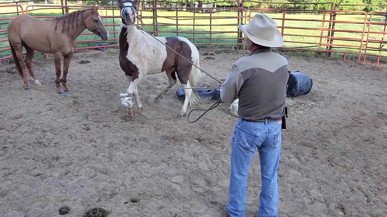 Ol peanut day 4,,,part 1 of 2 steping over