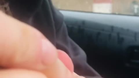 Bam Margera blister