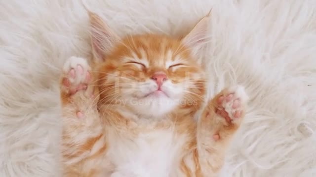 Sleeping Angel 💛❤️