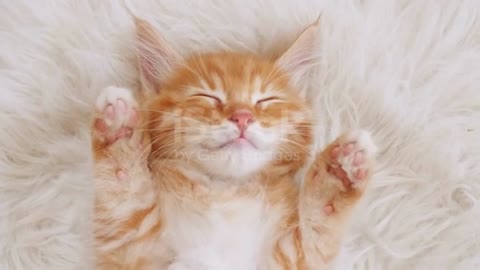Sleeping Angel 💛❤️