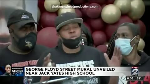 Donald 88 And The Gemini Twins