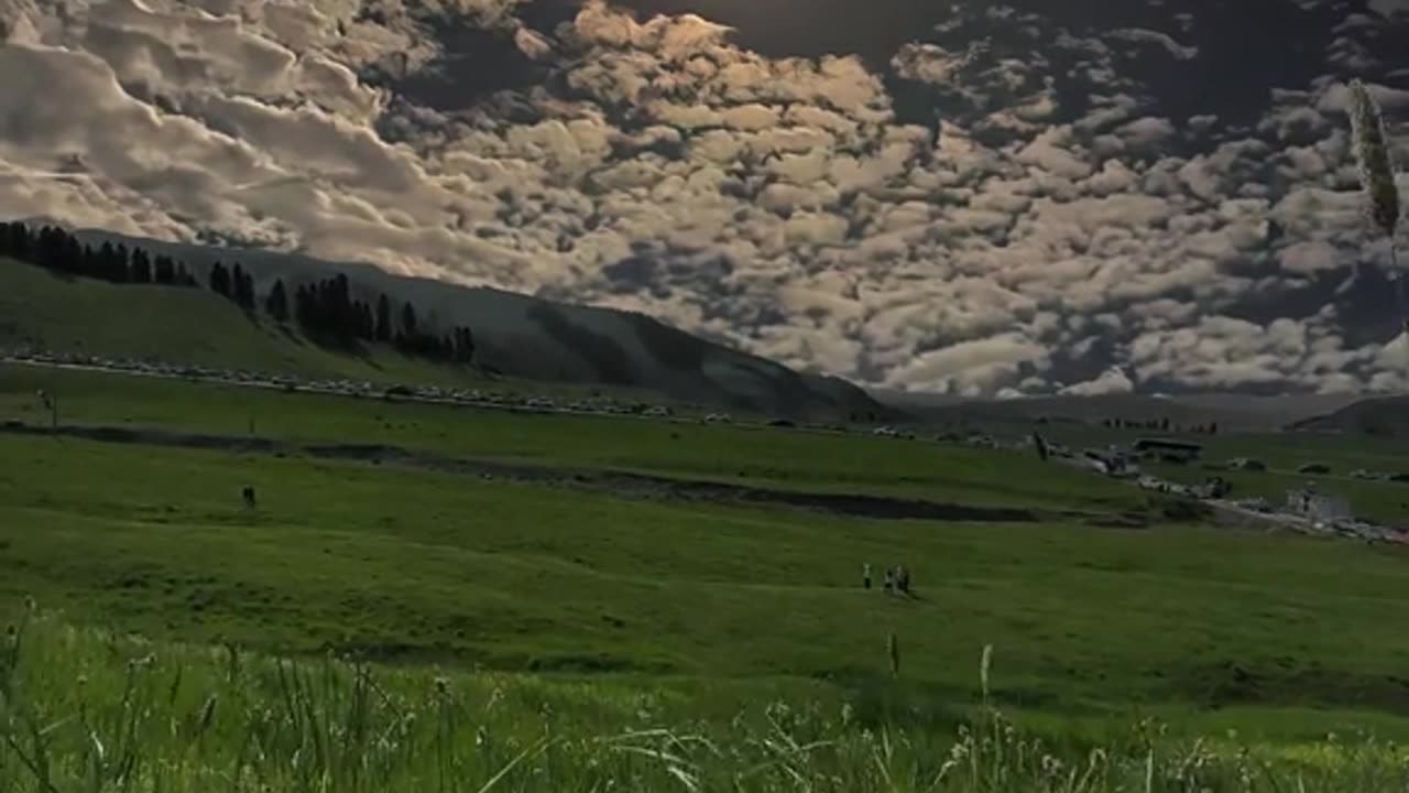 Peacefull video soothing