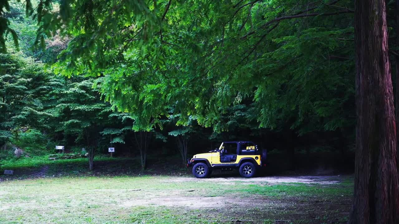 In the hot summer, go to the woods for a delicate camping