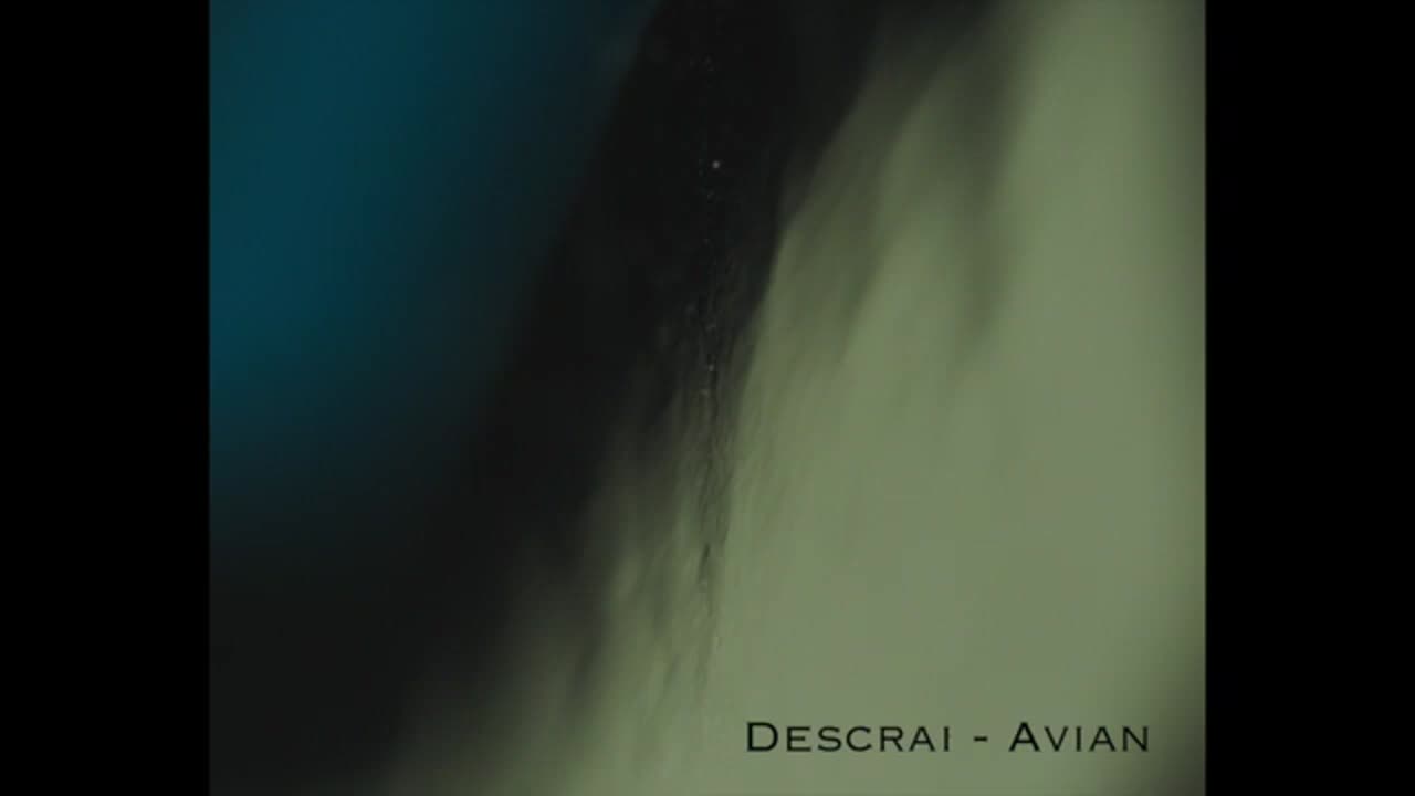 Descrai - Avian