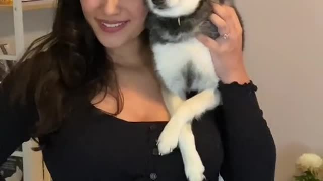 Funny Dogs shorts ♥️😂♥️