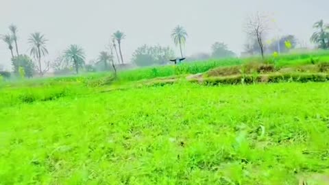 Vo larki bahot yad ATI hy video
