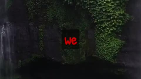 intresting facts about crws