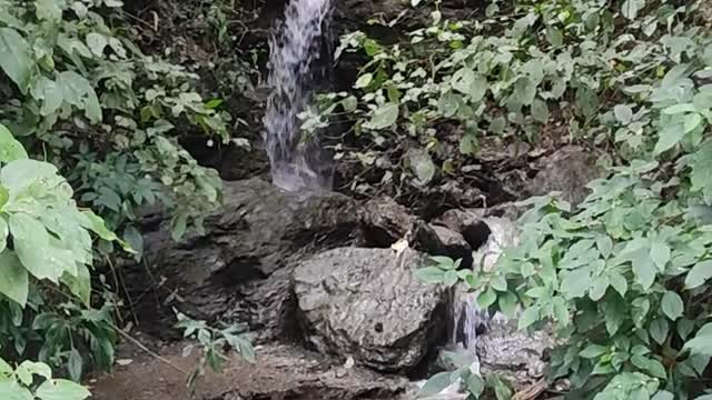 Water falls