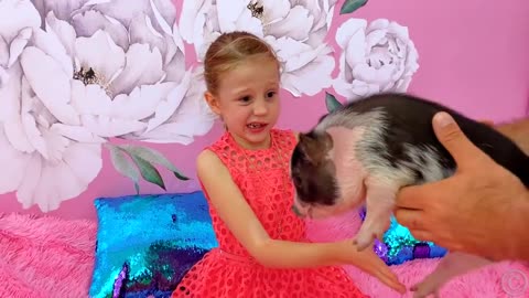 Nastya chooses a new pet