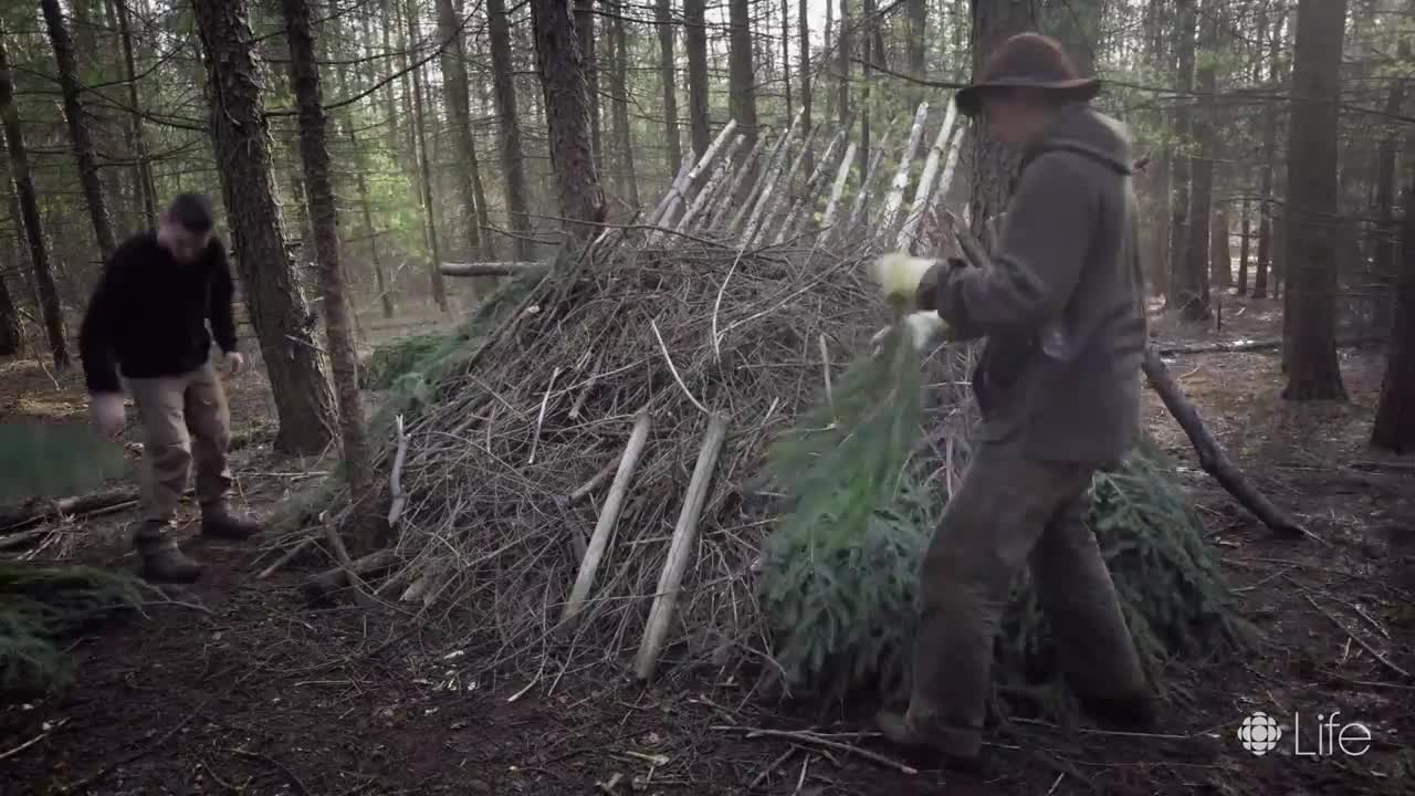 How to Build a Survival Shelter | Surviving in the Wild