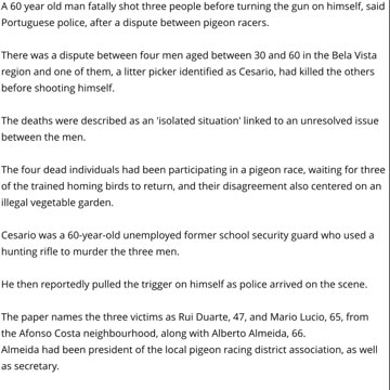MURDER-SUICIDE: Pigeon Racer Shoots Dead Three Rivals & Then Kills Himself - Portugal