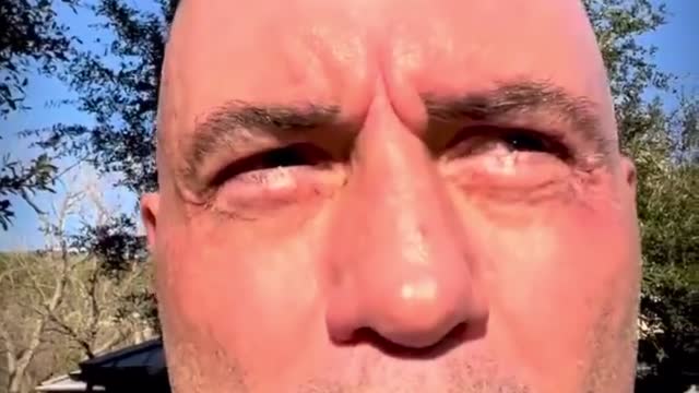 Joe Rogen addresses fake misinformation accusations