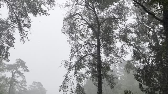 Hurricane Ian in South Carolina, near Charleston