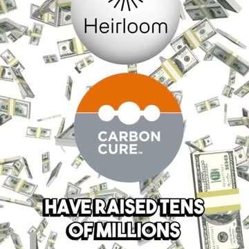 Bill Gates vs Elon Musk Over Concrete???