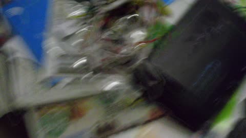 P9270042