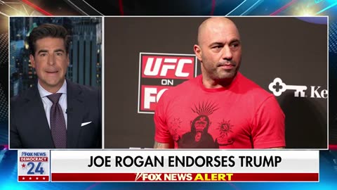 BREAKING NEWS Joe Rogan endorses Trump