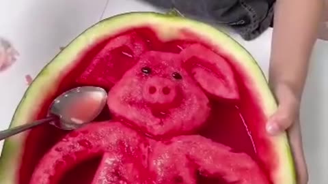 Funny videos
