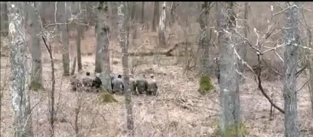 Video shows Ukraine troops execute captured Russian soldiers in forest _ WARNING ⚠️ GRAPHIC CONTENT