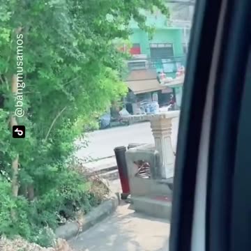 The end 😂😂😂 #funny #viral #shorts #funnyvideos #trustedhumor