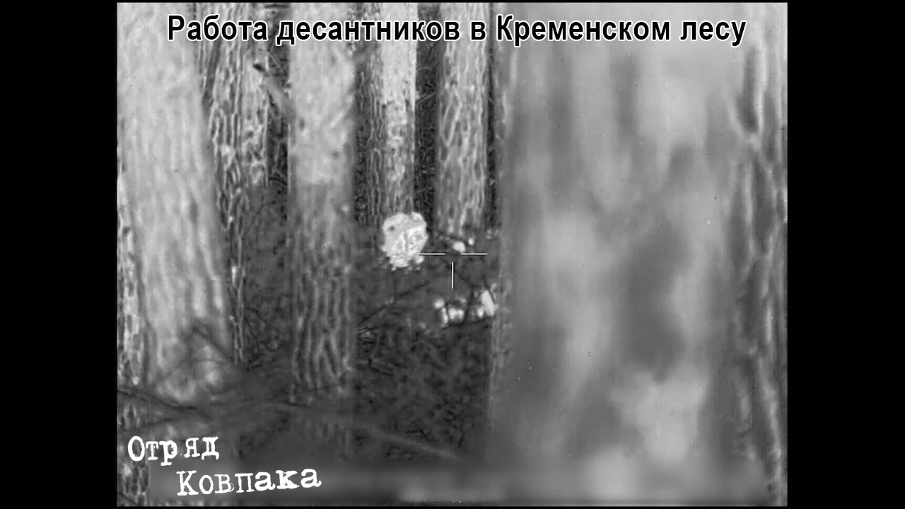 A Russian Airborne Forces sniper shot and killed an AFU soldier in the forest near Kremenna.