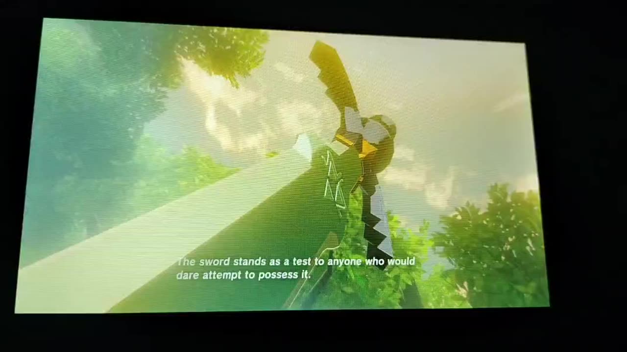 Legend of Zelda:Breath of the Wild:Obtaining The Master Sword