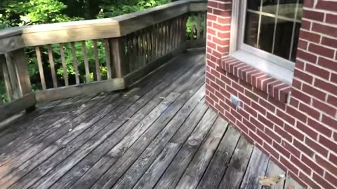 July 1, 2019 - My Wood Deck Being Removed (Part 1)