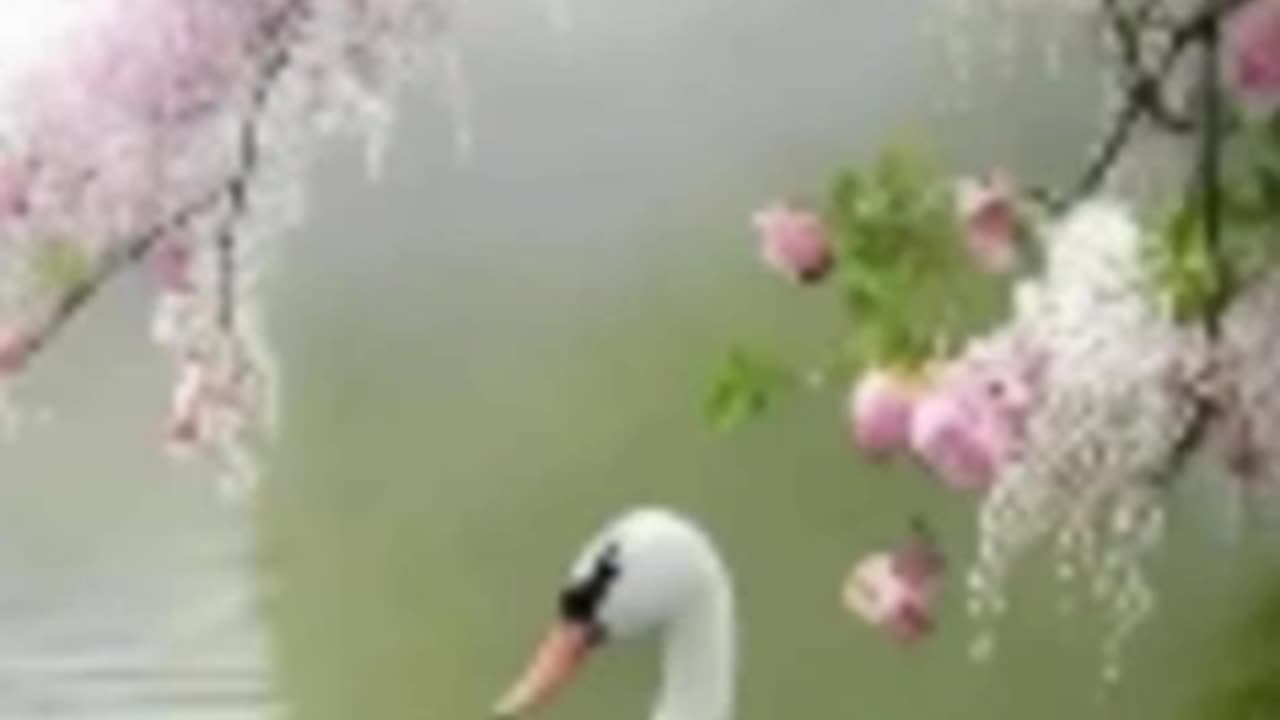 Heart touching muzic