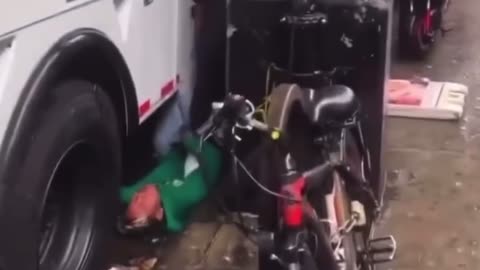 Nyc security vs illegals