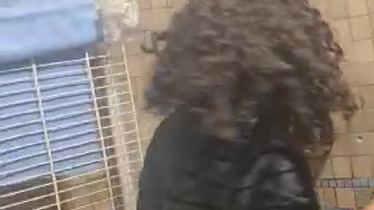 When You and Your Friends Discover a TV in the Bathroom