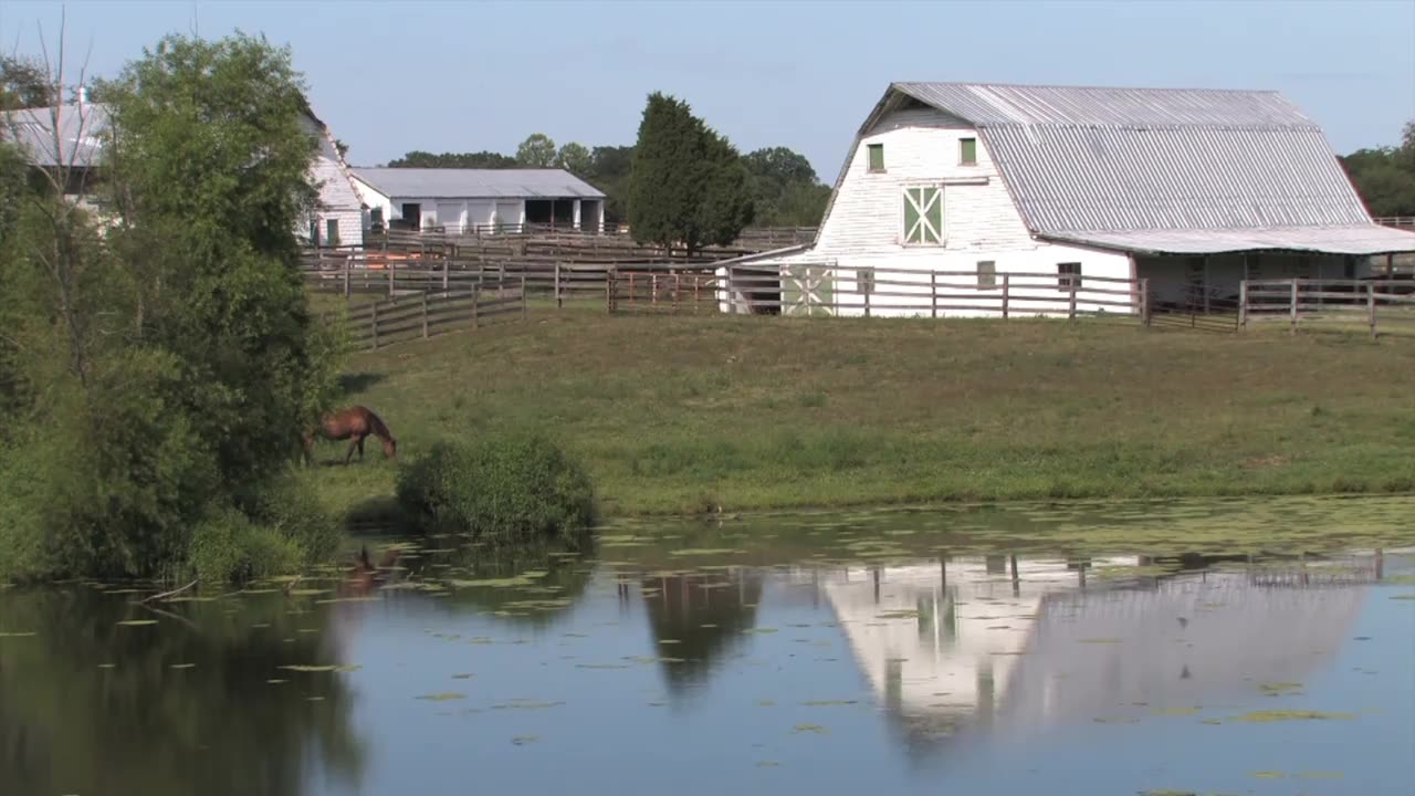 The Path: Beyond the Physical (Documentary)