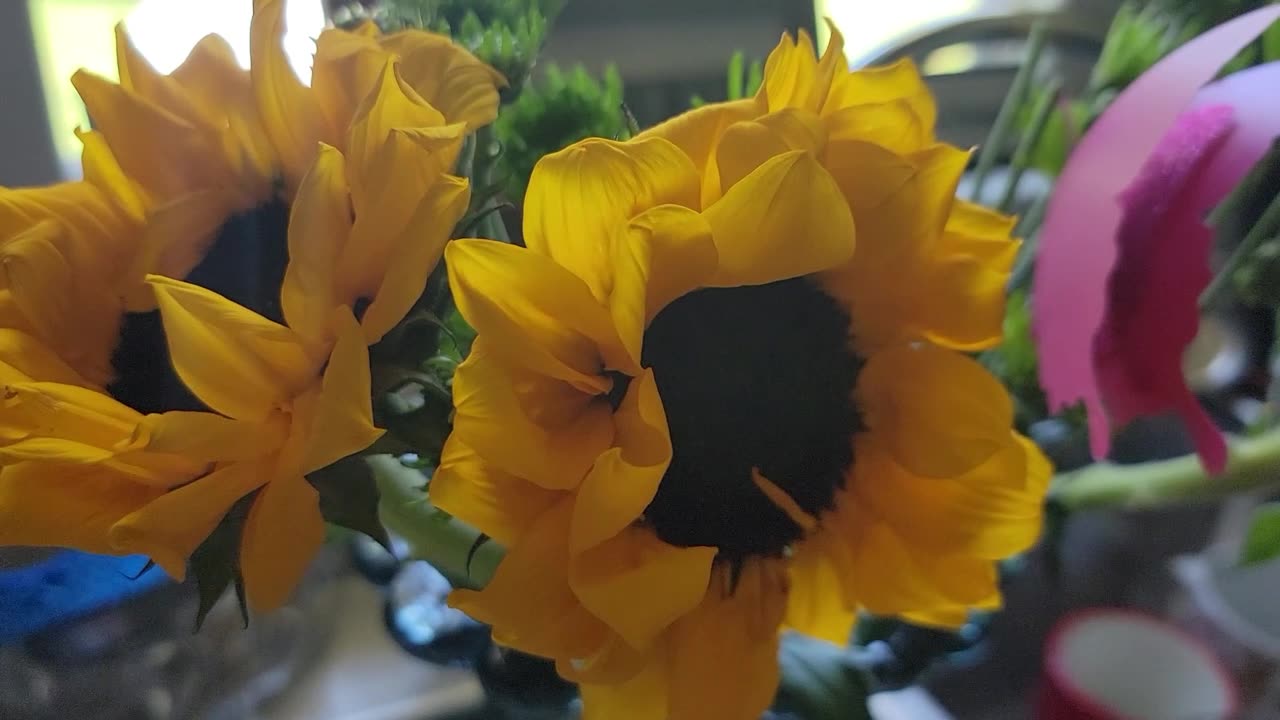 HUBBY BRINGS ME "JUST BECAUSE" FLOWERS!