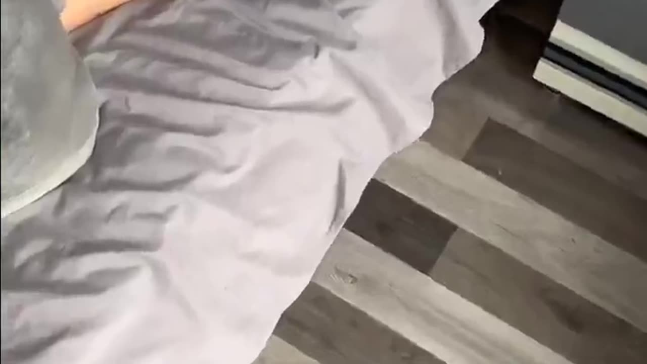 alarm clock