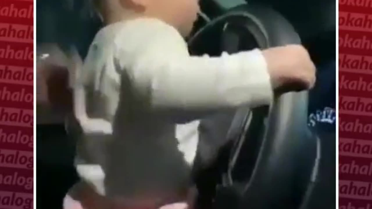 funny video