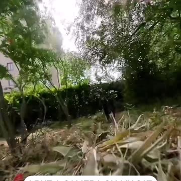 GoPro Cam on CAT | HQ