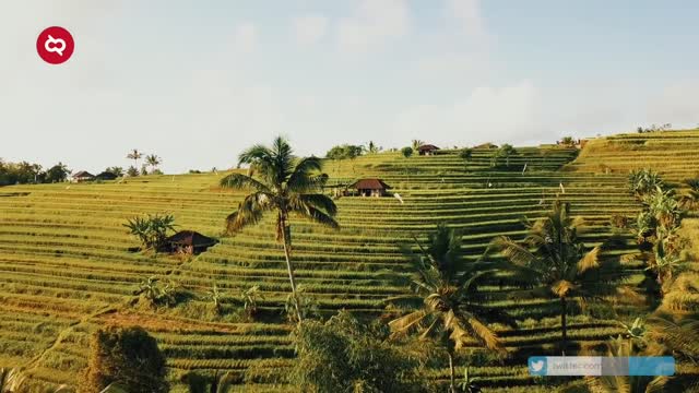 PESONA ALAM & SENI BUDAYA PULAU DEWATA BALI! Destinasi Wisata Indonesia Paling Populer Mendunia