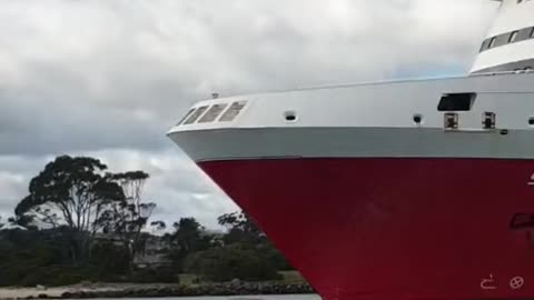 Spirit Of Tasmania 1 Passing. #trending #shorts