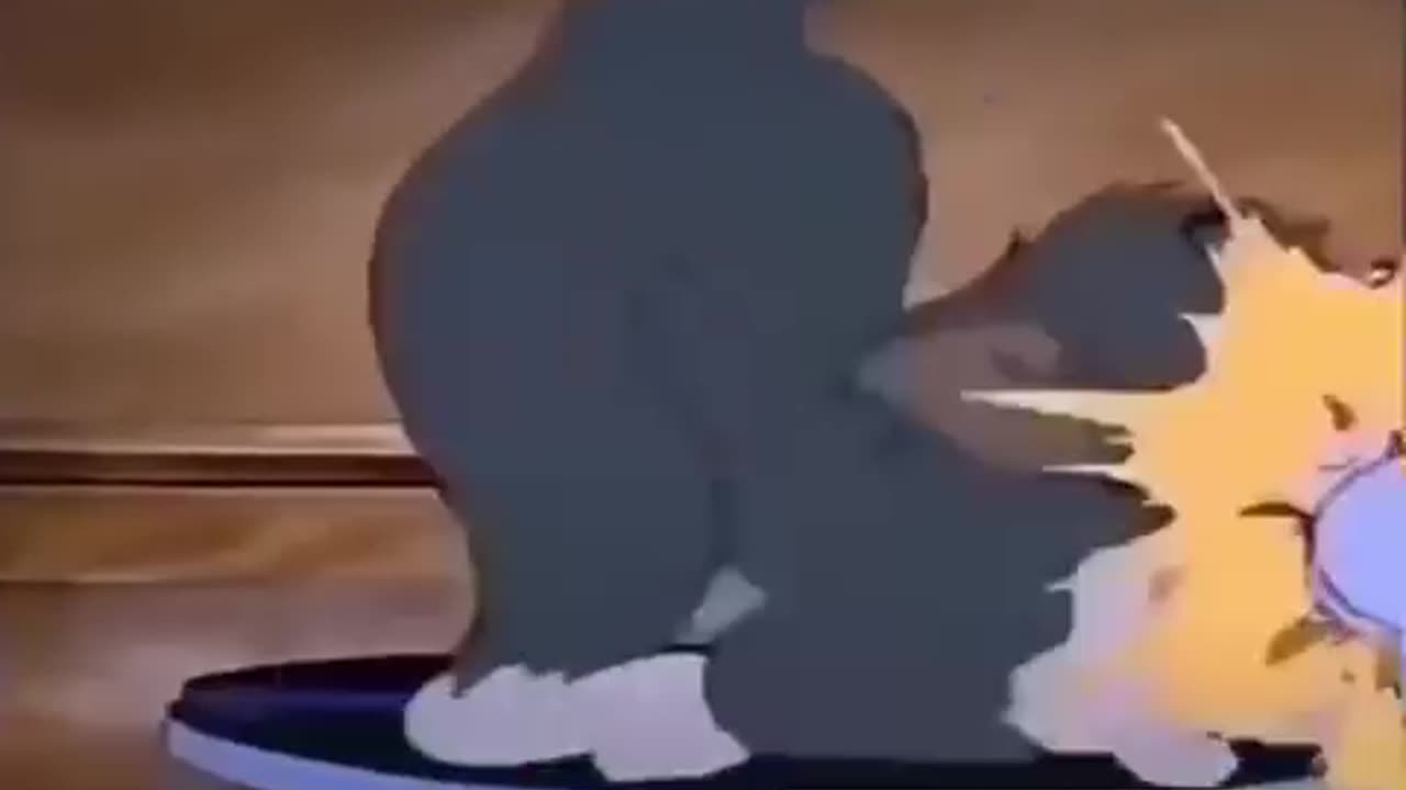 Tom & jerry cartoon Vs reality funny video 😂😂😂😂