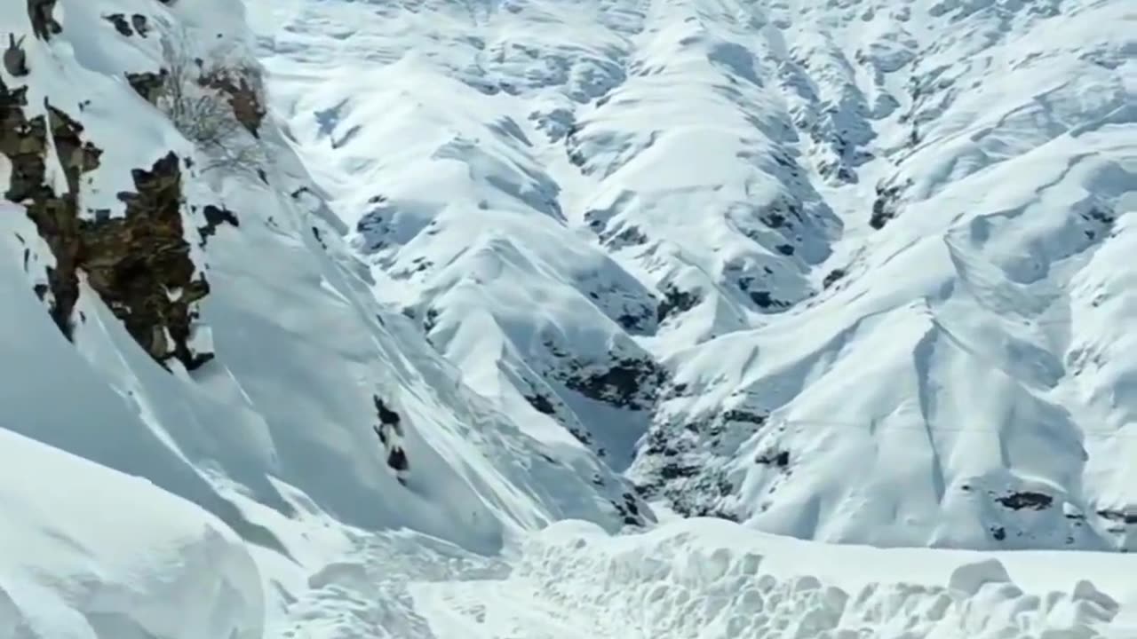 Rohtang Pass Heavy Snow