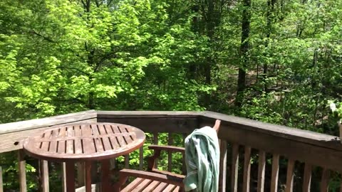 May 5, 2019 - A Gorgeous Spring Morning on My Deck