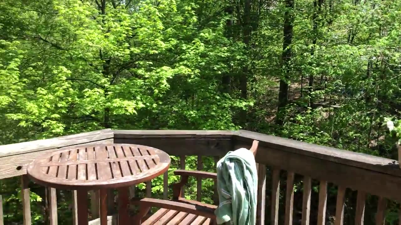 May 5, 2019 - A Gorgeous Spring Morning on My Deck