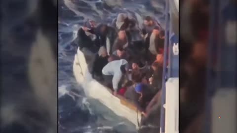 Watch: Cruise ship rescues migrants from crowded boat in Gulf of Mexico