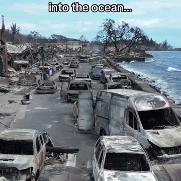 Devastating images out of Maui. End of world vibes.