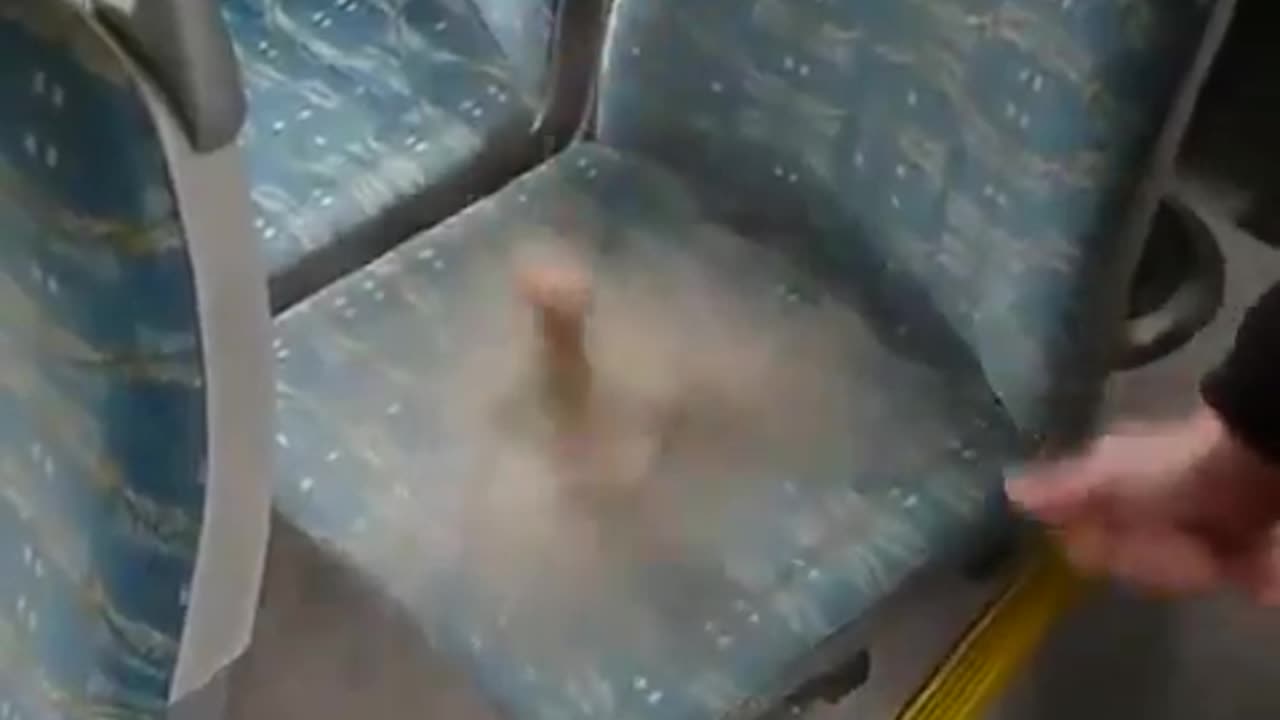 Who knew the reason bus seats have wild patterns and vibrant colors is to hide how dirty they are